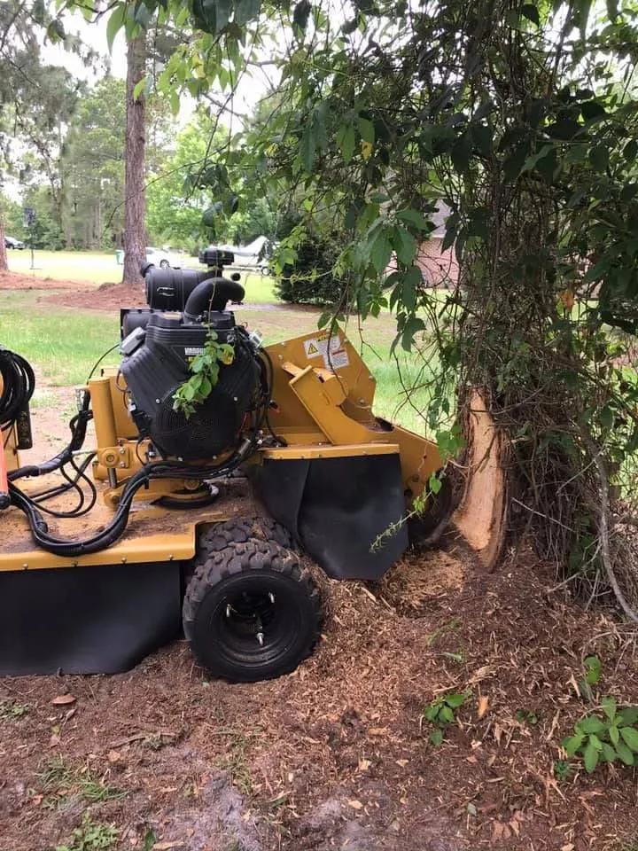 Top-rated lawn mowing service for beautiful yards in Brunswick, GA by Green Tree Services