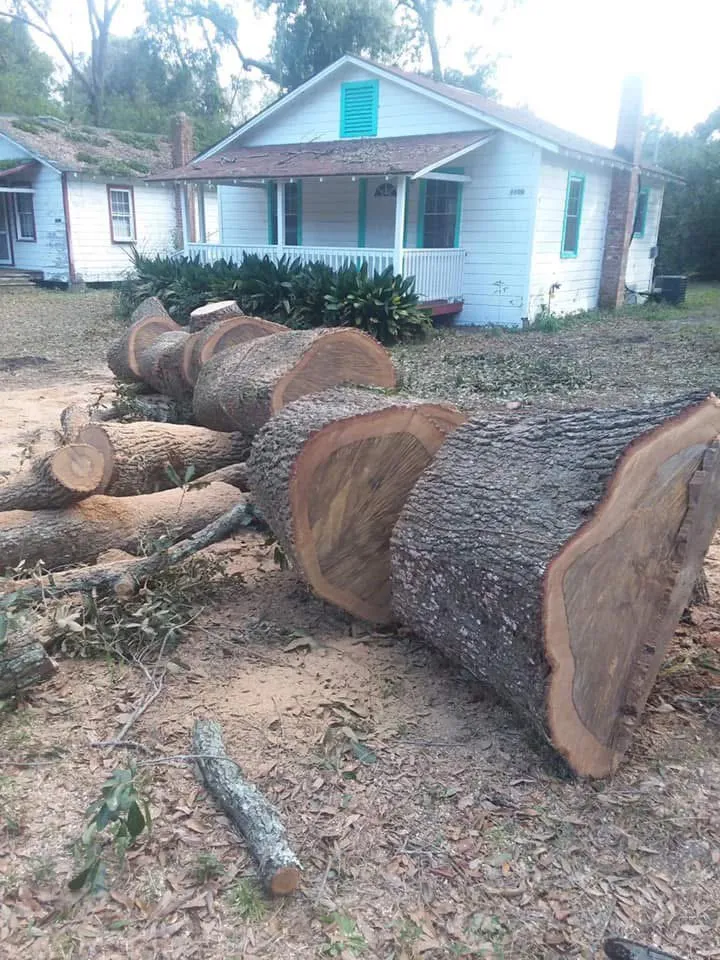 Trusted lawn care service in Brunswick, GA by Green Tree Services