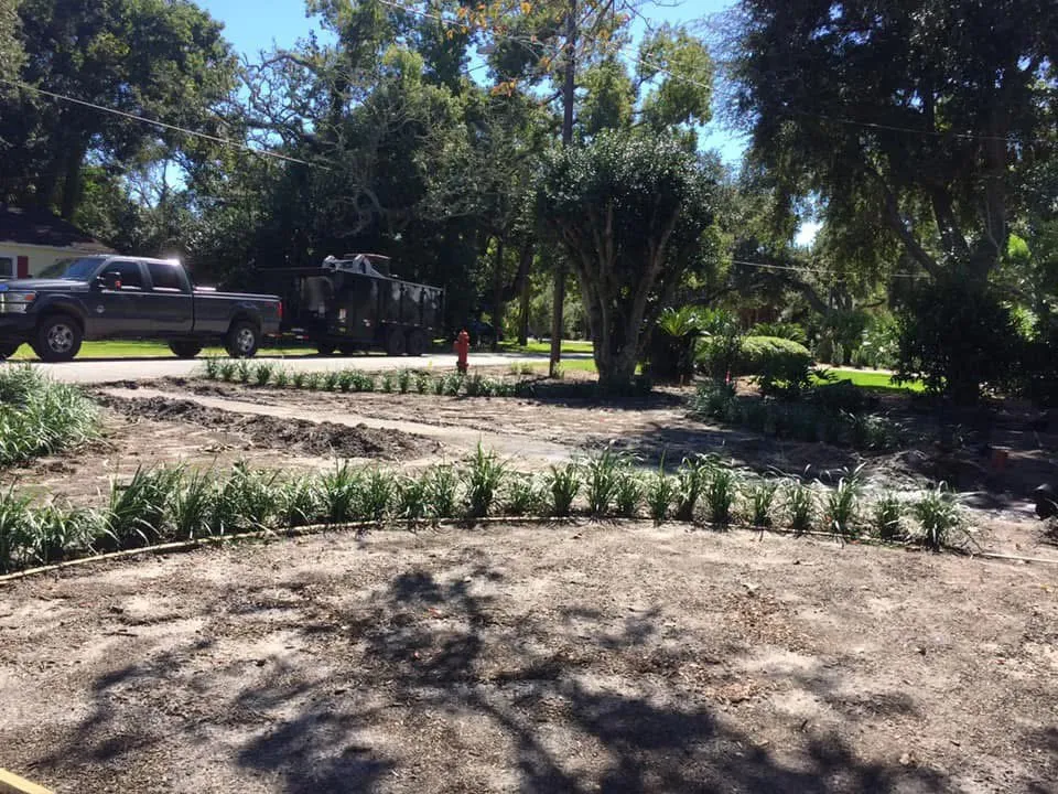 Custom yard cleanup service experts serving Brunswick, GA - Green Tree Services