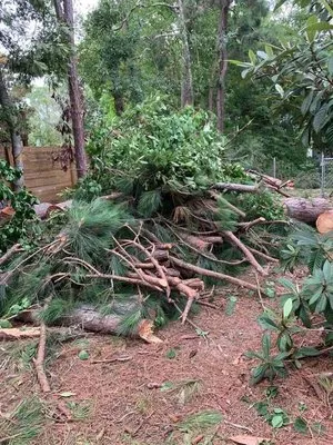 Green Tree Services Logo