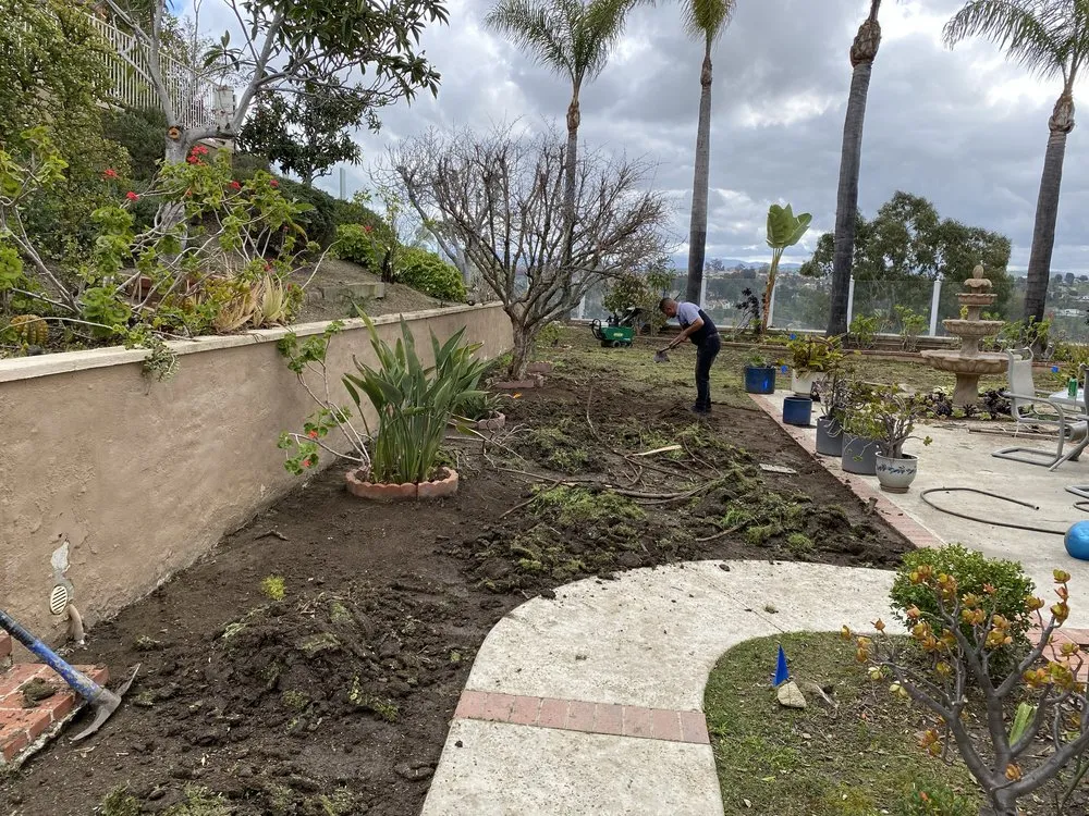 Professional yard cleanup service experts serving San Juan Capistrano, CA - Green Trees Landscape Inc.