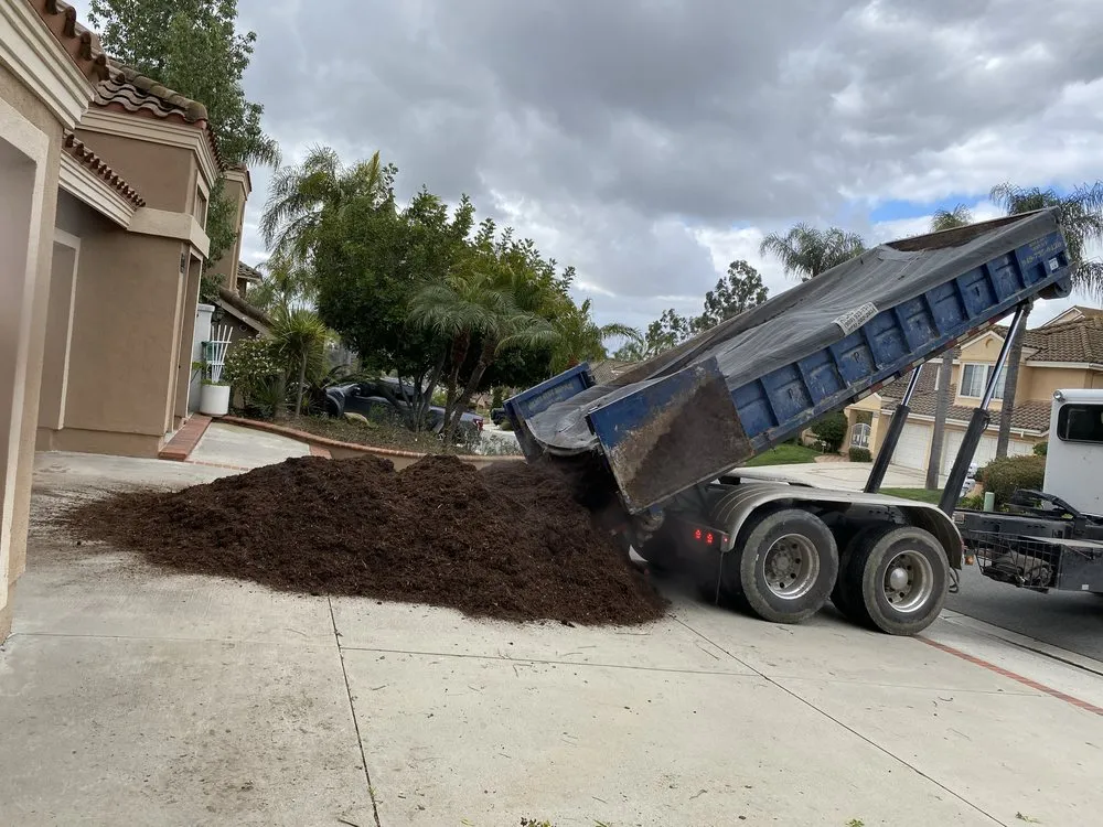 Reliable lawn care service experts serving San Juan Capistrano, CA - Green Trees Landscape Inc.