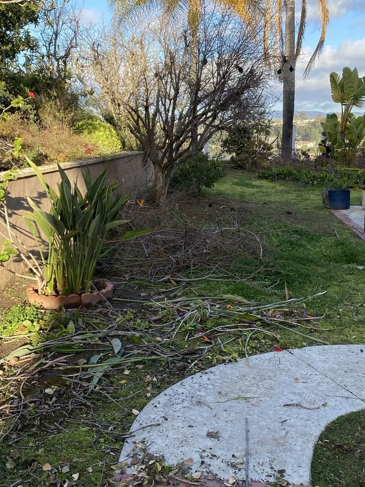 Expert landscape design near you across San Juan Capistrano, CA - Green Trees Landscape Inc.