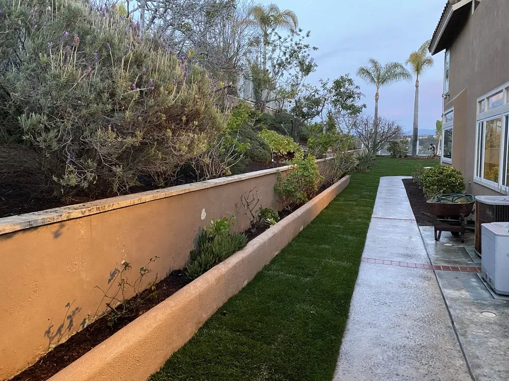 Expert yard cleanup service in San Juan Capistrano, CA - Green Trees Landscape Inc.