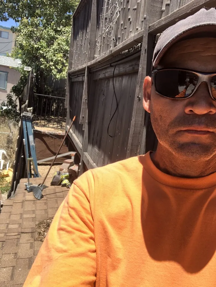 Trusted yard cleanup service in National City, CA - Green Tree's Parras Landscaping