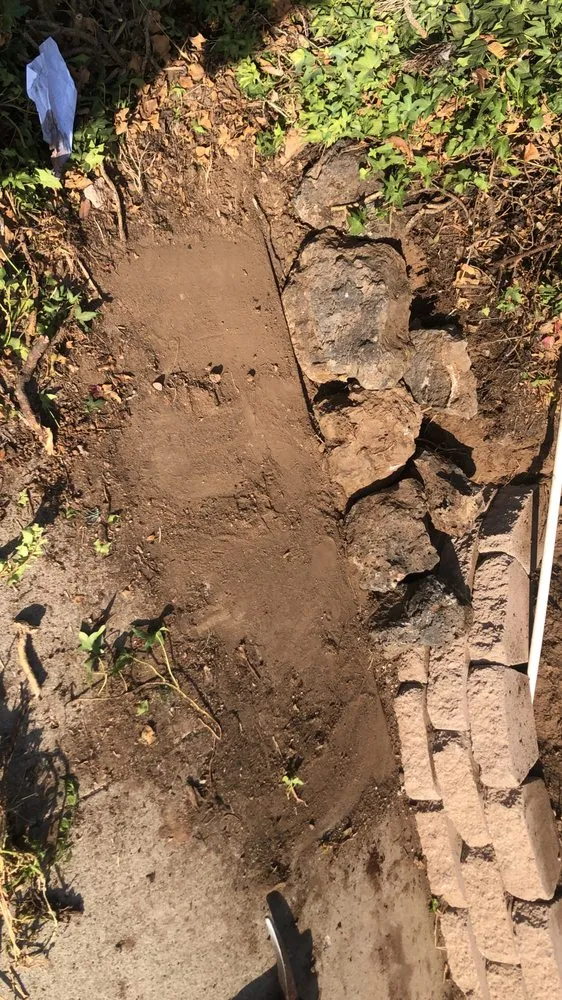 Local lawn mowing service in National City, CA by Green Tree's Parras Landscaping