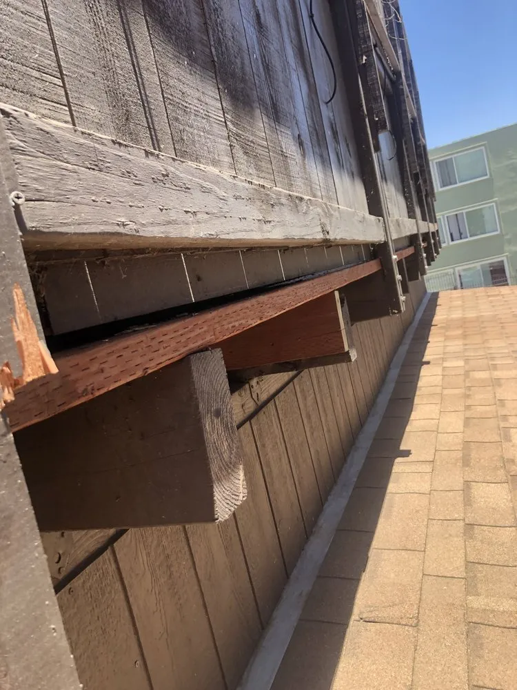 Expert yard maintenance in National City, CA by Green Tree's Parras Landscaping