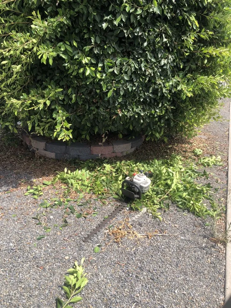 Expert yard maintenance for beautiful yards across National City, CA - Green Tree's Parras Landscaping