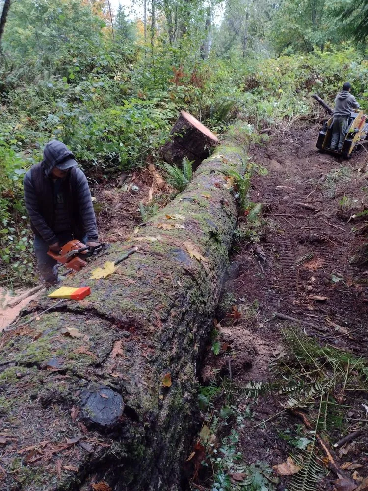 Top-rated residential landscaping in Port Orchard, WA - Green Triangle Landscaping