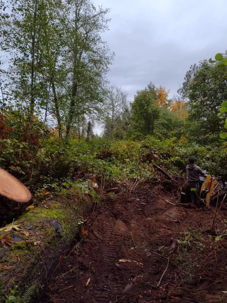 Affordable yard cleanup service for beautiful yards across Port Orchard, WA - Green Triangle Landscaping