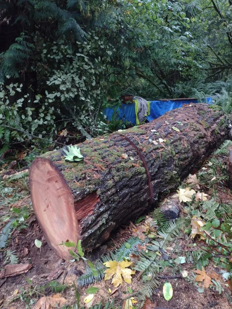 Trusted outdoor landscaping for homes in Port Orchard, WA by Green Triangle Landscaping