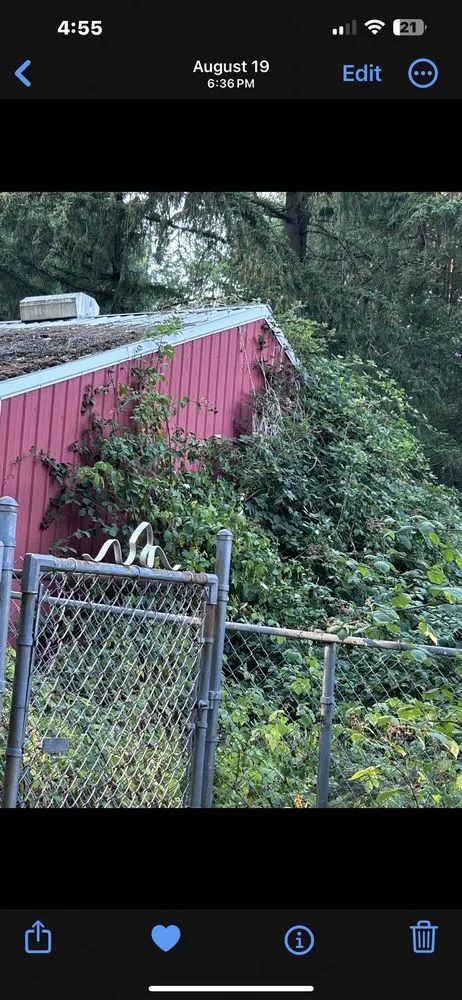 Expert residential landscaping in Port Orchard, WA - Green Triangle Landscaping