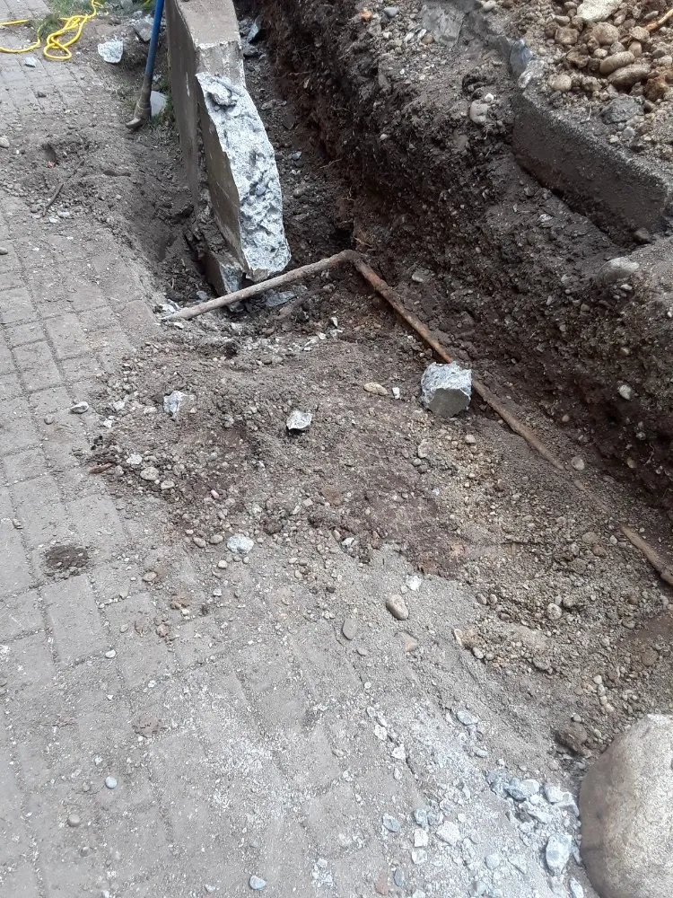 Expert lawn care service in Port Orchard, WA - Green Triangle Landscaping