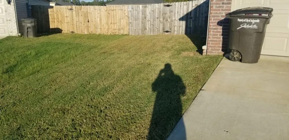 Local landscape design in Little Rock, AR - Green Trimmings