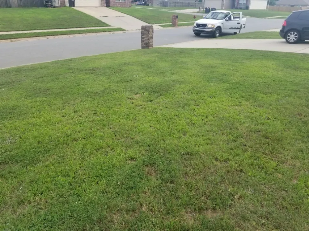 Professional residential landscaping experts serving Little Rock, AR - Green Trimmings