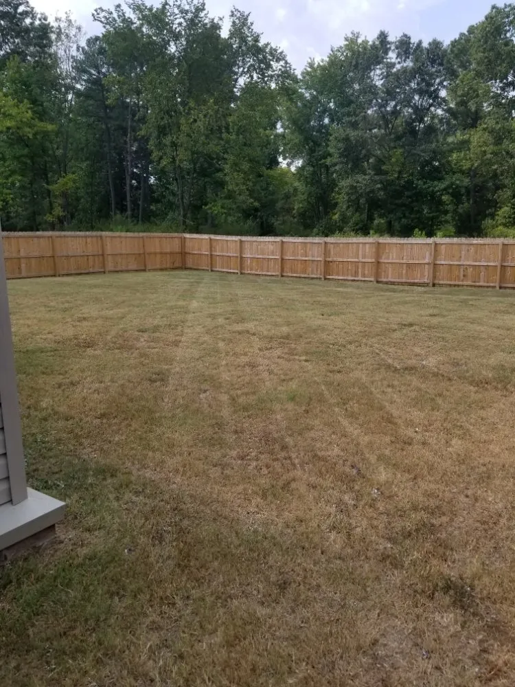 Local yard cleanup service in Little Rock, AR - Green Trimmings