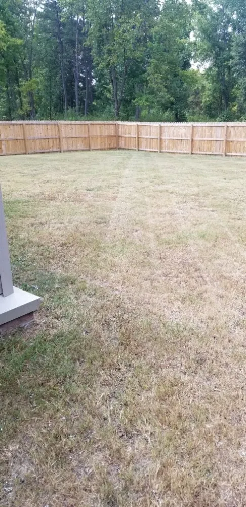 Custom landscape design for residential properties in Little Rock, AR by Green Trimmings