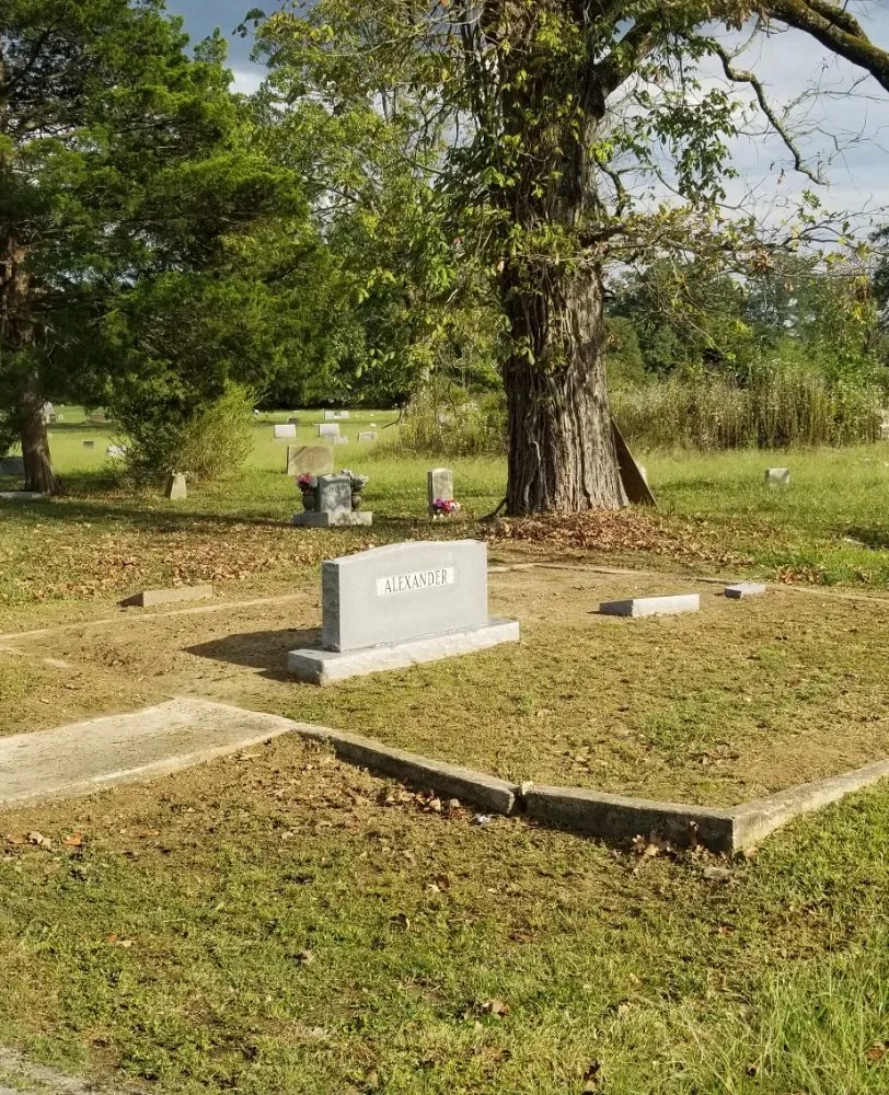 Expert lawn care service in Little Rock, AR - Green Trimmings