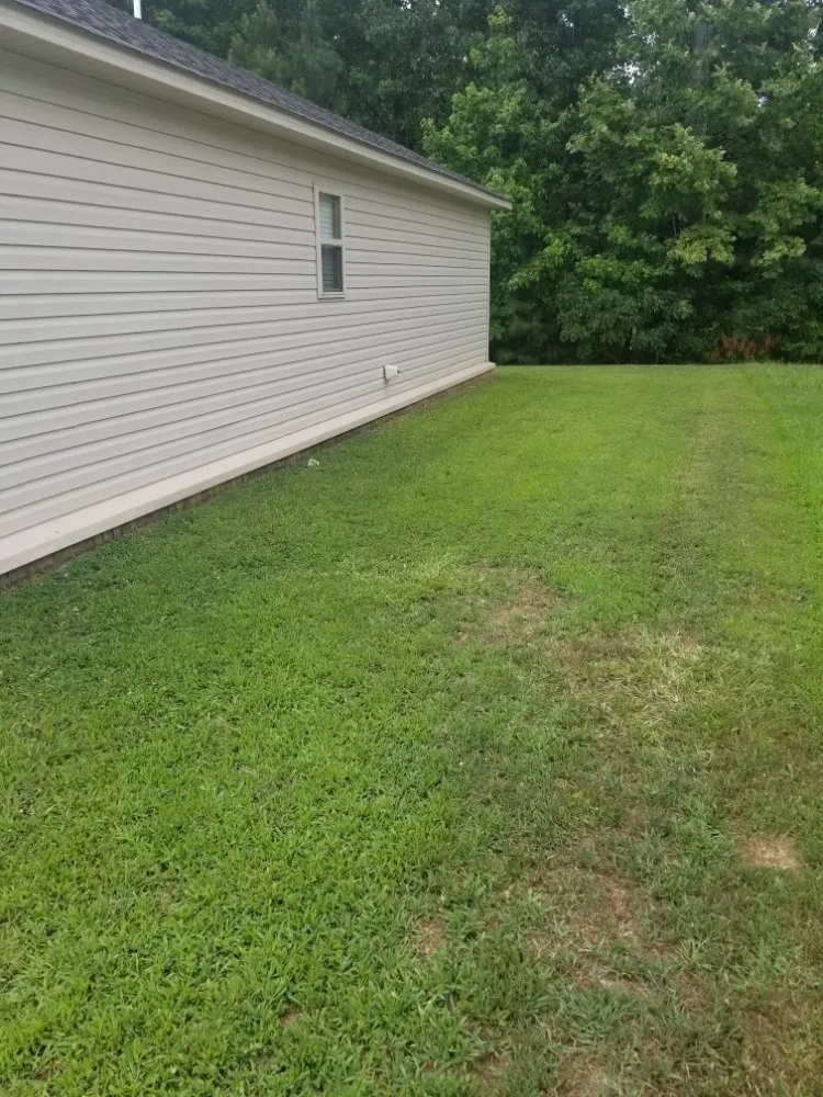 Professional lawn care service in Little Rock, AR - Green Trimmings