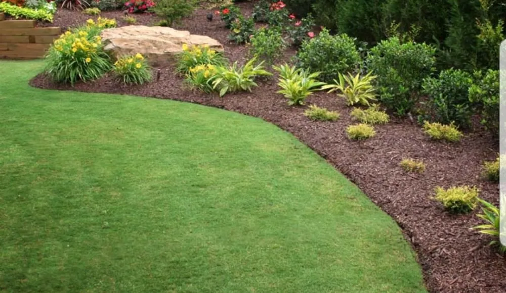 Expert yard maintenance near you in Atlanta, GA by Green Trims Quality Landscaping