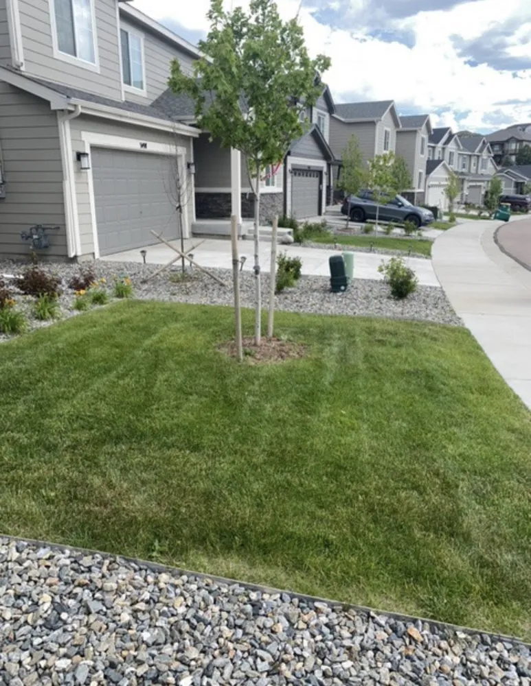 Top-rated yard maintenance in Castle Rock, CO - Green Truck Lawn Care Shoveling and More