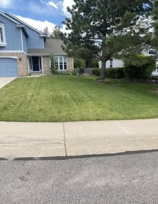 Green Truck Lawn Care Shoveling and More Logo