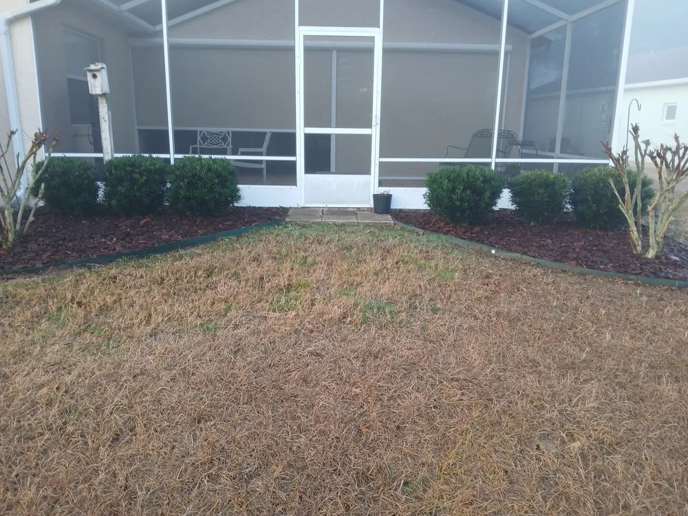 Affordable yard cleanup service in Ocala, FL by Green Truck Mowing