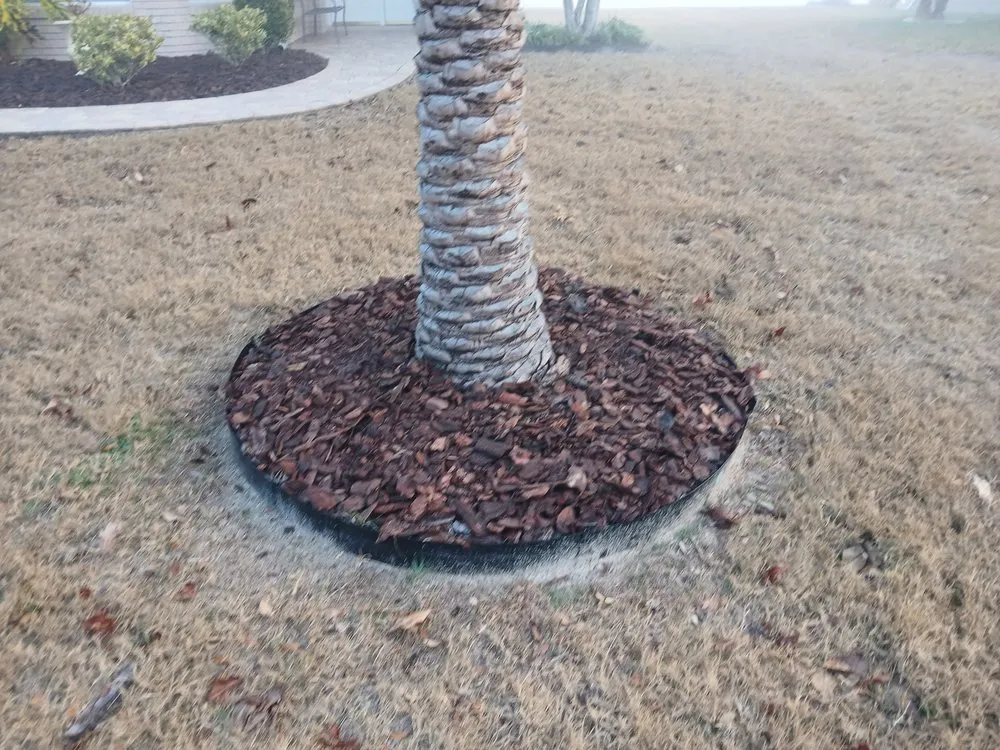 Top-rated landscaping services for residential properties across Ocala, FL - Green Truck Mowing