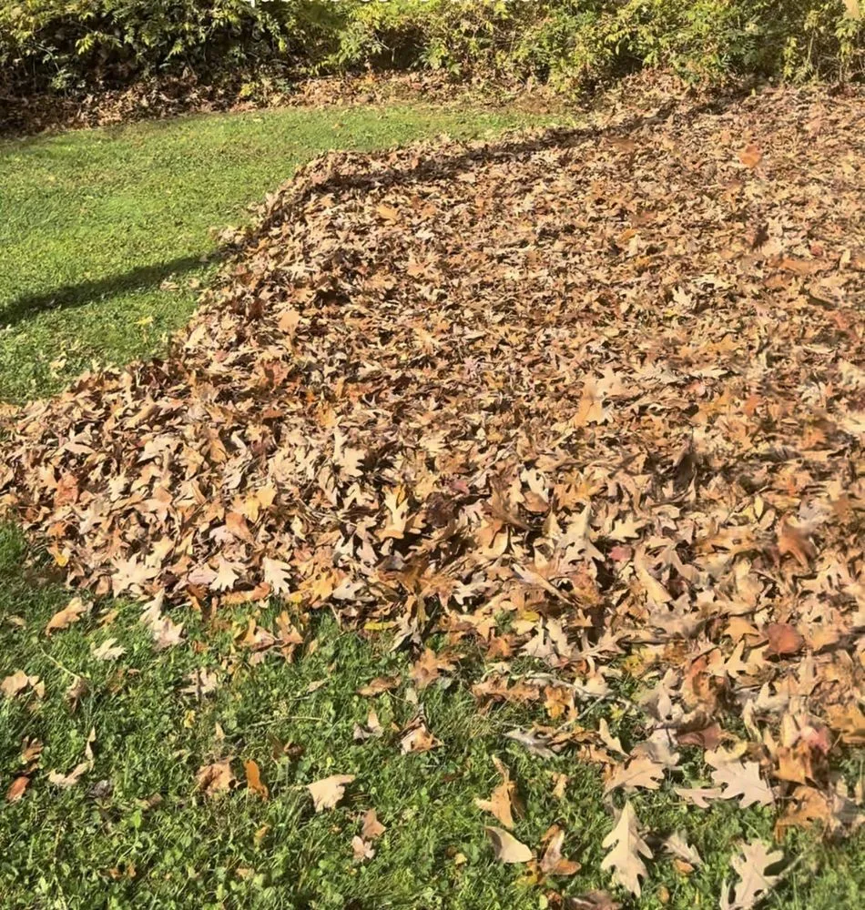 Expert landscape installation for beautiful yards across Chapel Hill, NC - Green Trust Landscaping
