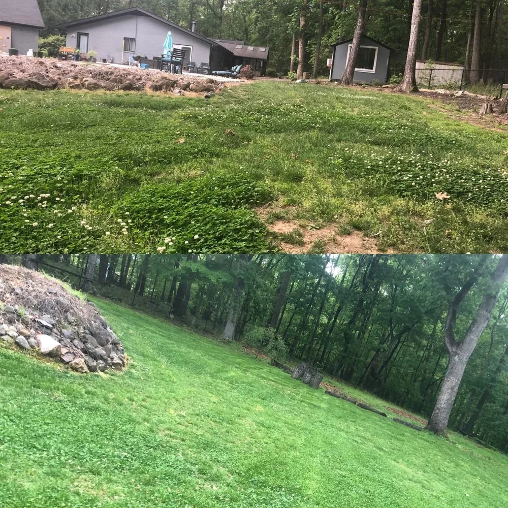 Reliable yard maintenance for residential properties in Chapel Hill, NC by Green Trust Landscaping