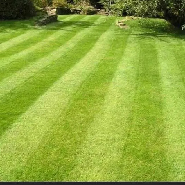 Reliable lawn care service with custom design across Chapel Hill, NC - Green Trust Landscaping