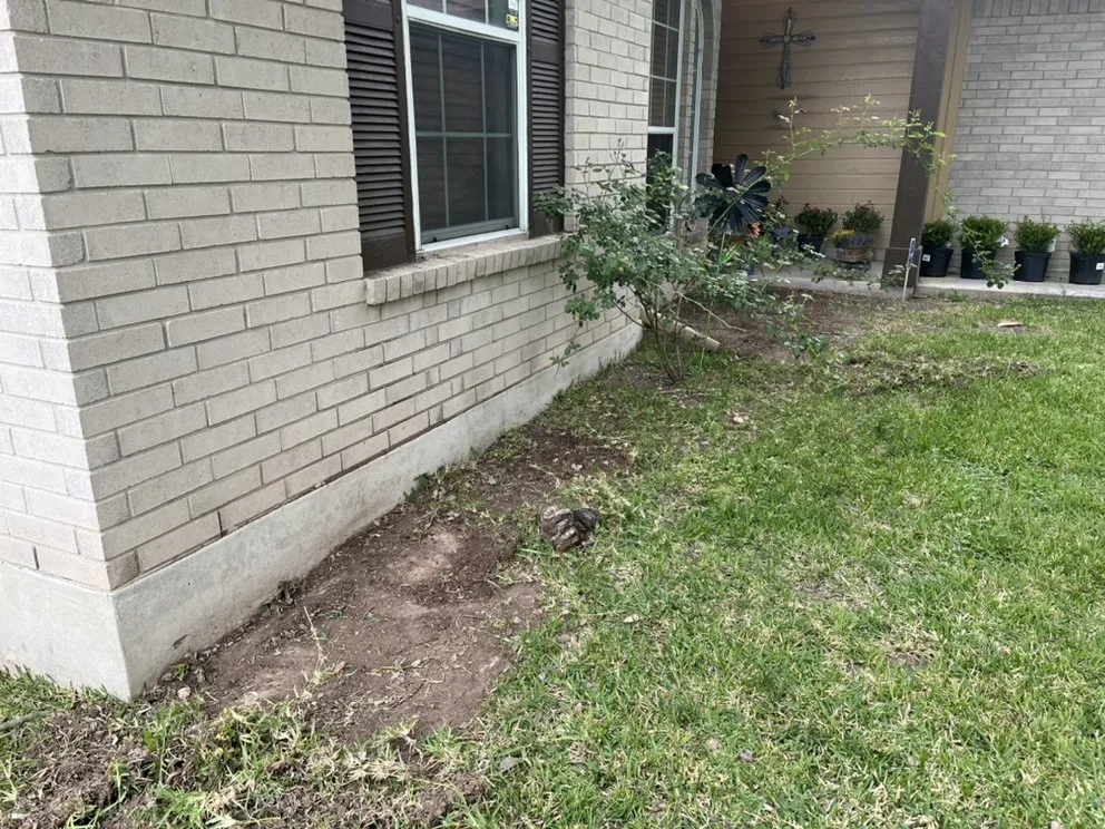 Professional yard maintenance experts serving Kyle, TX - Green Turf Landscaping