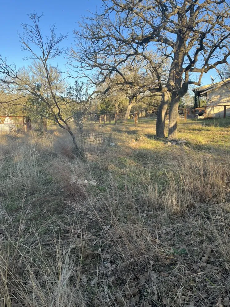 Affordable outdoor landscaping for year-round maintenance in Kyle, TX by Green Turf Landscaping