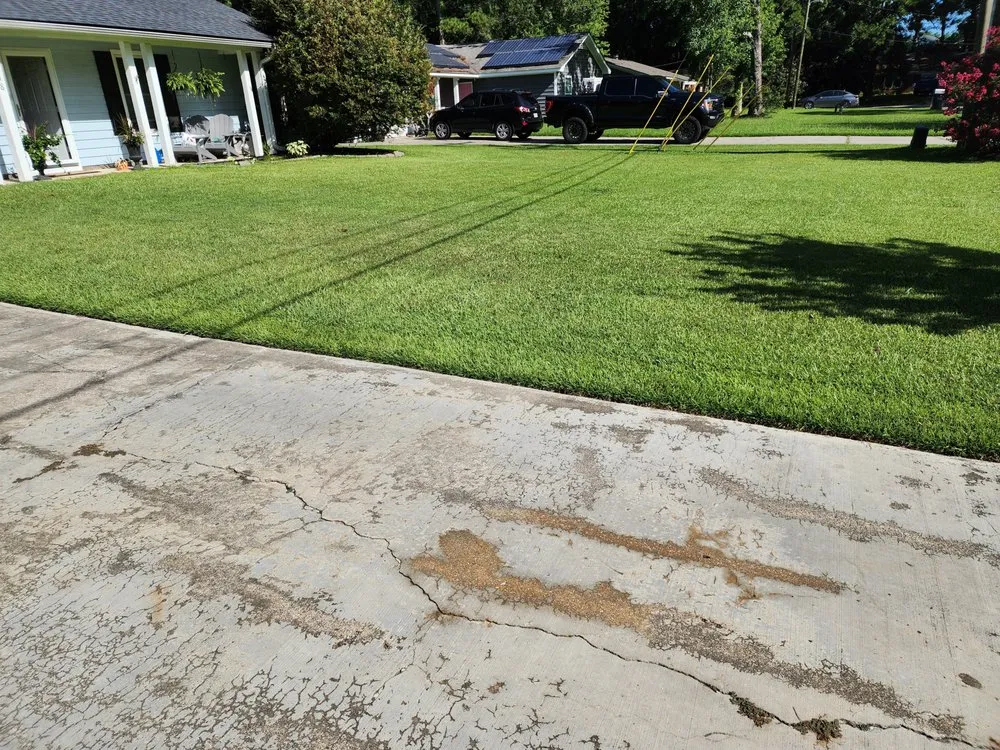 Custom landscaping services in Summerville, SC by Green Turf Lawn Care