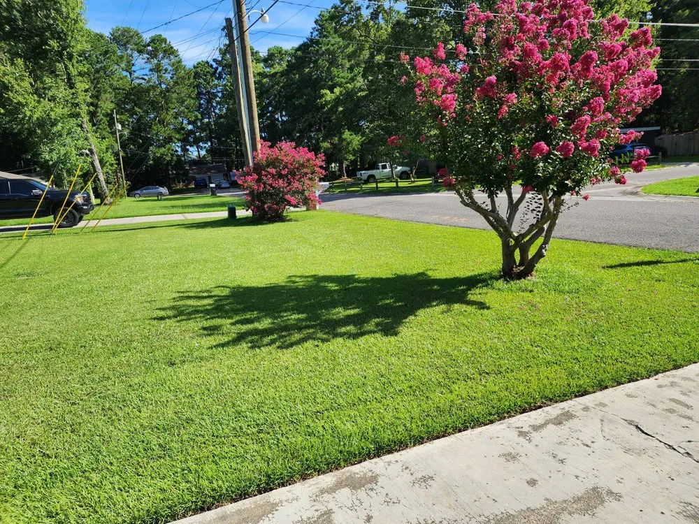 Affordable yard cleanup service with custom design across Summerville, SC - Green Turf Lawn Care