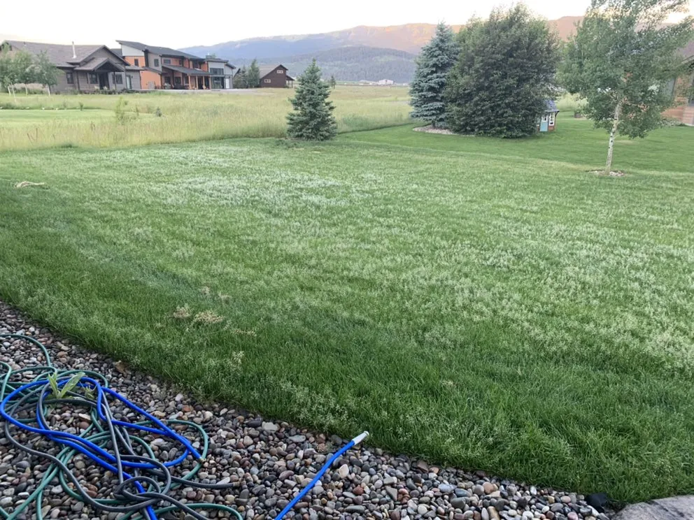 Expert landscaping services for homes in Alpine, WY by Green Turf Lawnscapes