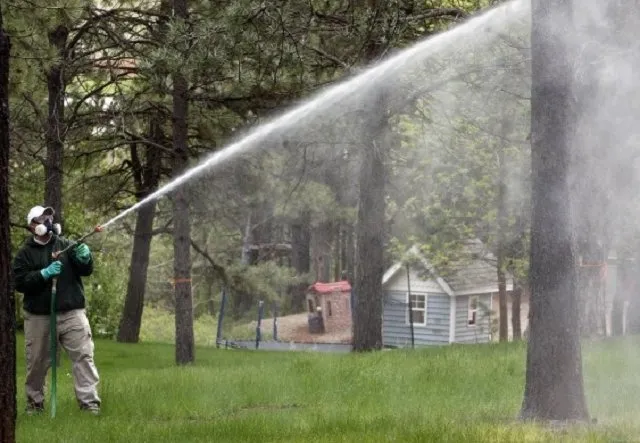 Affordable lawn care service in Alpine, WY - Green Turf Lawnscapes