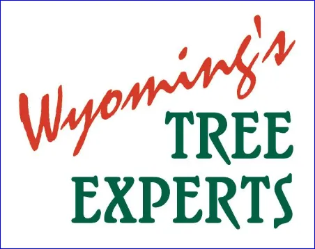 Reliable residential landscaping for beautiful yards in Alpine, WY by Green Turf Lawnscapes