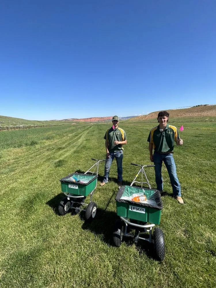 Affordable lawn mowing service with custom design across Cody, WY - Green Turf Lawnscapes