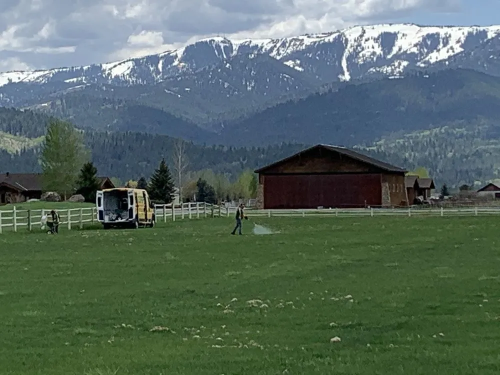 Expert lawn mowing service for beautiful yards across Cody, WY - Green Turf Lawnscapes