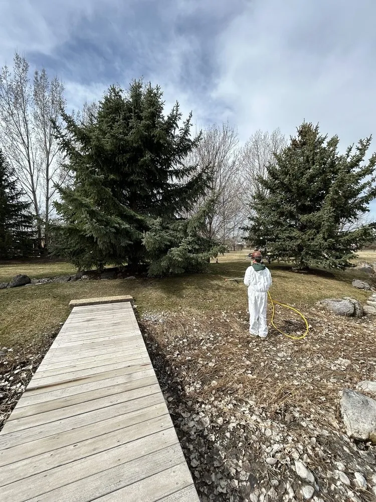 Reliable residential landscaping experts serving Cody, WY - Green Turf Lawnscapes