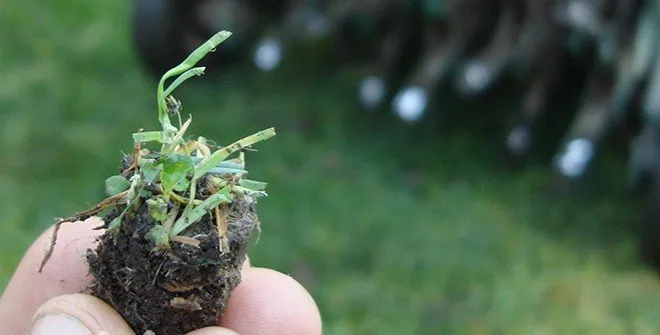 Professional lawn care service in Worland, WY - Green Turf Lawnscapes