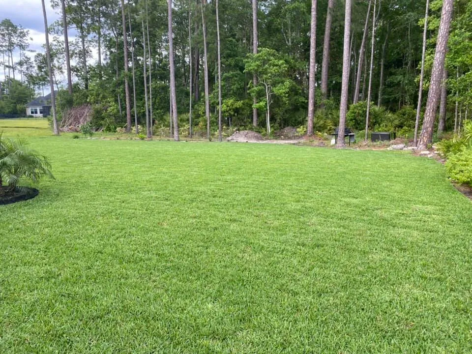Local yard cleanup service in St. Marys, GA by Green Turf Logic