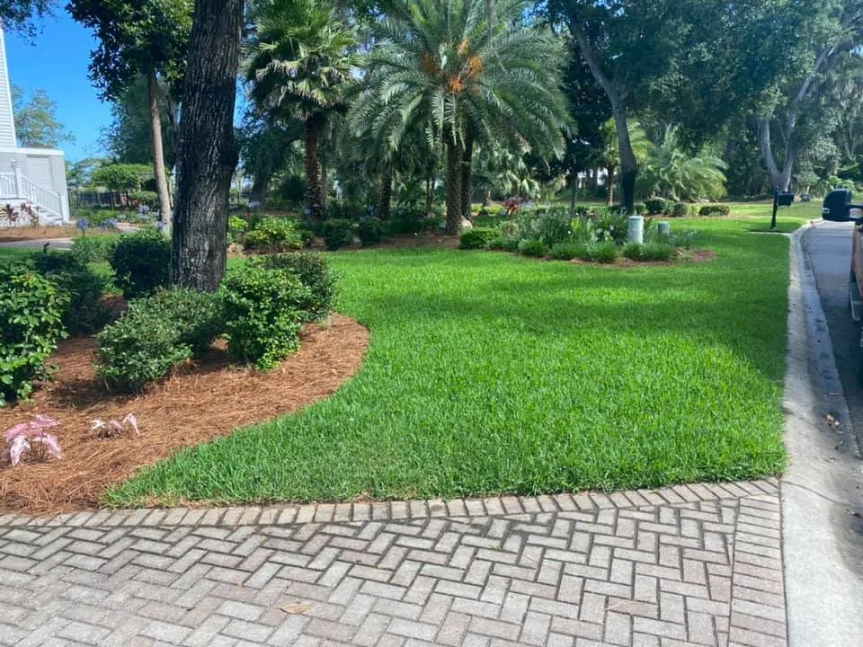 Professional lawn care service in St. Marys, GA - Green Turf Logic