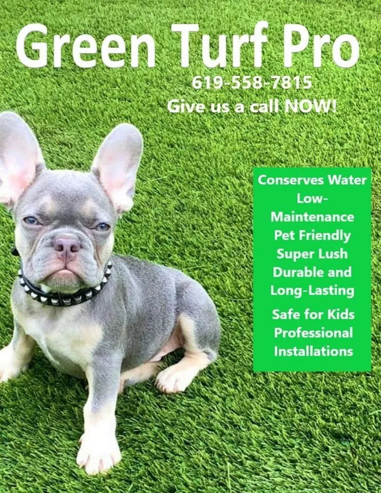 Top-rated yard cleanup service for year-round maintenance across Lemon Grove, CA - Green Turf Pro