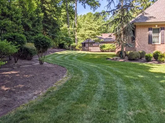 Green Turf Pros Eco Friendly Lawn Solutions Logo