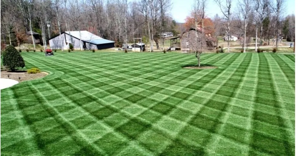 Professional yard maintenance in Fenton, MO by Green Turf Pros
