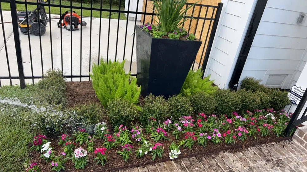 Trusted outdoor landscaping for beautiful yards across Houston, TX - Green up