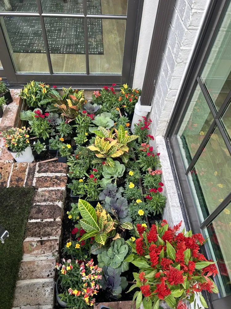 Reliable outdoor landscaping experts serving Houston, TX - Green up