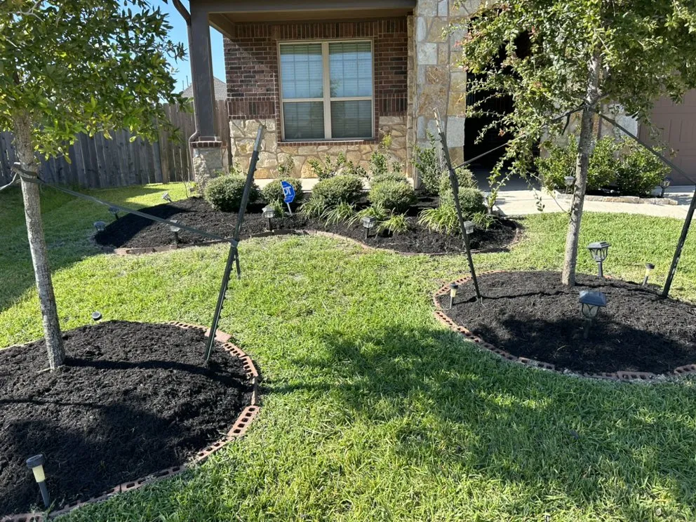 Local yard cleanup service in Houston, TX - Green up